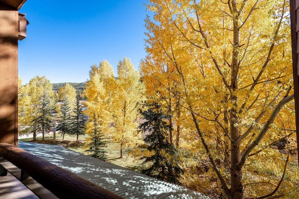 Ski-In/Ski-Out Zephyr 1 Bedroom Condo Winter Park Eksteriør bilde